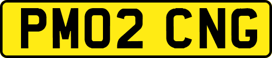PM02CNG