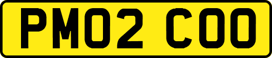 PM02COO