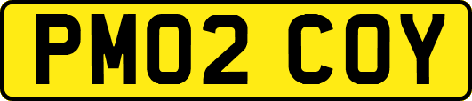 PM02COY