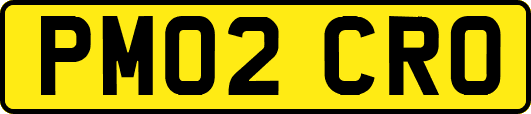 PM02CRO
