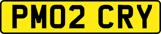 PM02CRY
