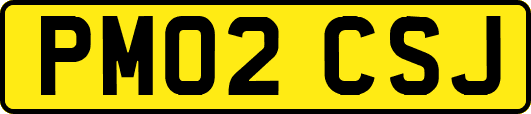 PM02CSJ