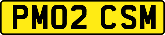 PM02CSM