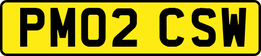 PM02CSW