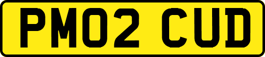 PM02CUD