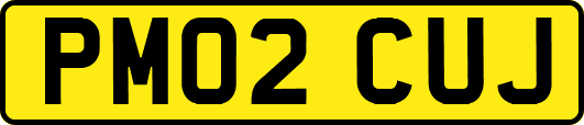 PM02CUJ