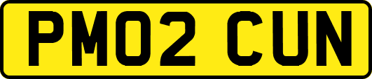 PM02CUN