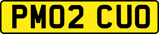 PM02CUO