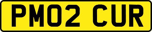 PM02CUR