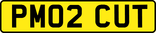 PM02CUT