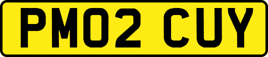 PM02CUY