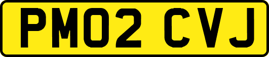 PM02CVJ
