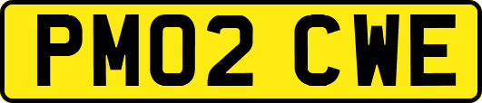 PM02CWE