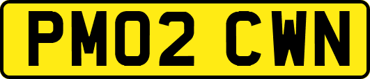 PM02CWN
