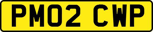 PM02CWP