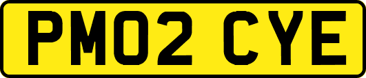 PM02CYE