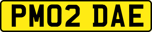 PM02DAE
