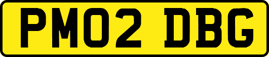 PM02DBG