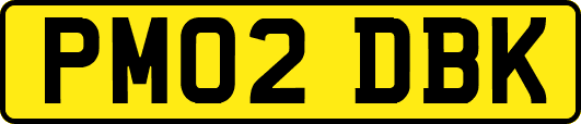 PM02DBK
