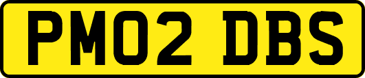 PM02DBS