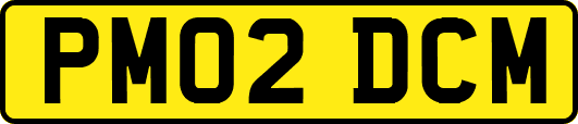 PM02DCM