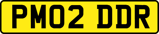 PM02DDR