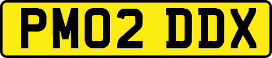 PM02DDX