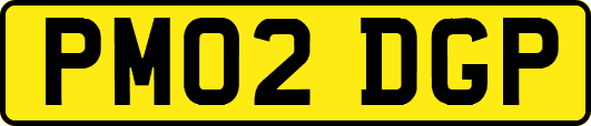 PM02DGP