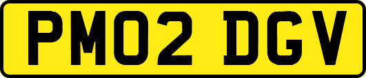 PM02DGV