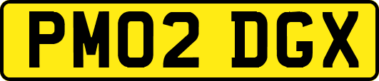 PM02DGX