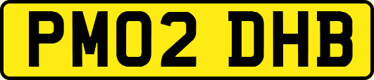 PM02DHB