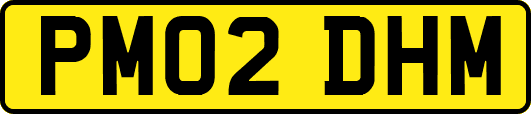 PM02DHM