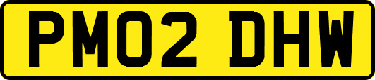 PM02DHW