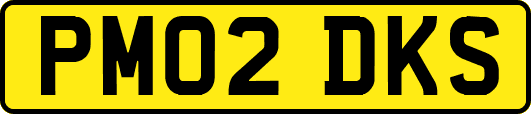 PM02DKS