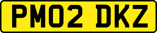 PM02DKZ