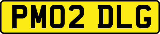PM02DLG