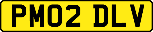 PM02DLV