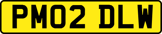 PM02DLW