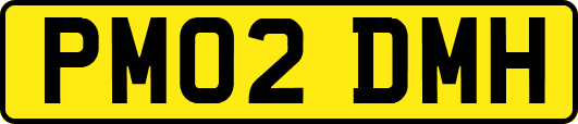 PM02DMH
