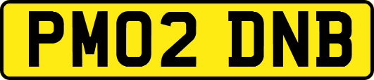 PM02DNB