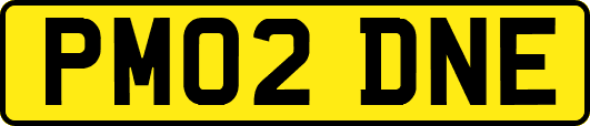 PM02DNE