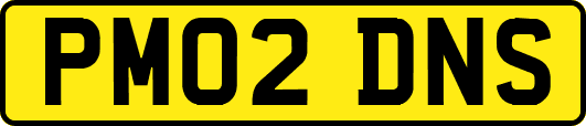 PM02DNS