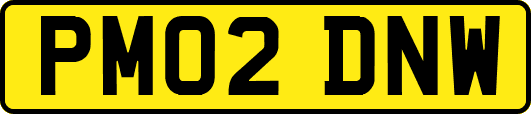 PM02DNW