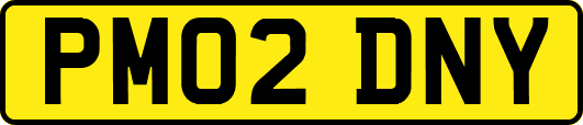 PM02DNY