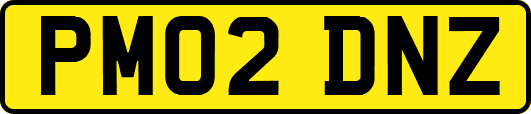 PM02DNZ