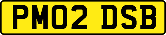 PM02DSB