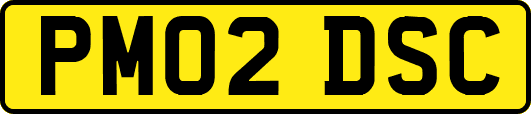 PM02DSC