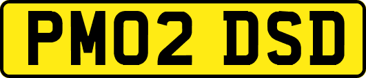 PM02DSD
