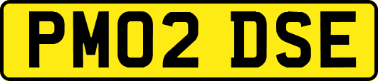 PM02DSE