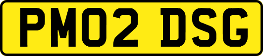 PM02DSG